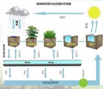 杏耀平台网站雨水收集一个水资源再利用过程