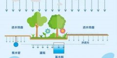 <b>杏耀平台网站雨水收集池的定义：如何打造海绵</b>