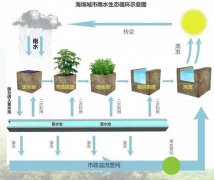 雨水收集系统的主要类型