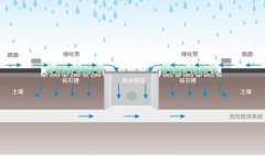 杏耀平台网站雨水收集系统之城市道路