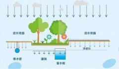 杏耀平台网站雨水收集系统要实现社会、生态、