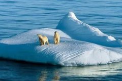 科学家研究报告称：北极在变暖 南极在变冷