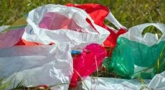 美塑料袋回收利用率增长24%