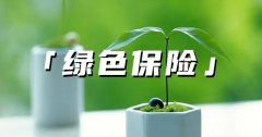 杏耀平台网站谨防“绿色保险”成“排污定心丸