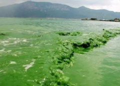 佛山废水“入侵”自来水 现绿色颗粒