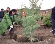 中国2008名志愿者赴希腊建绿色中国林
