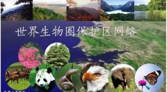 中国已有28个保护区加入了世界生物圈